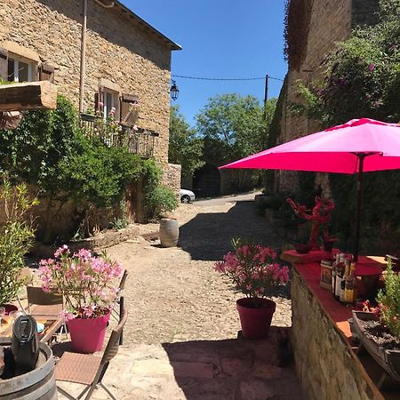 Bed and Breakfast Domaine D'Alcapies Saint-Jean-dʼAlcapiès Exterior foto